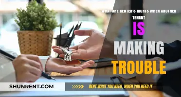 Navigating Renter's Rights: Dealing with Troublesome Tenants in Your Building