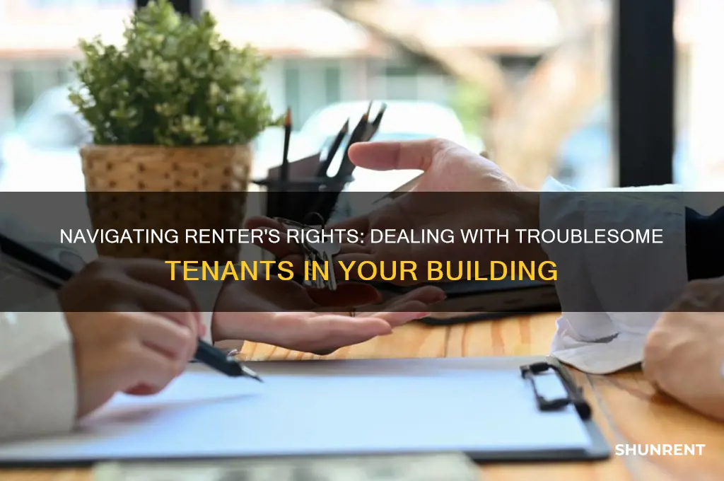 what are renter