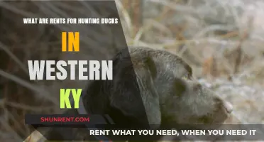 Hunting Duck Rents in Western Kentucky: Costs and Considerations