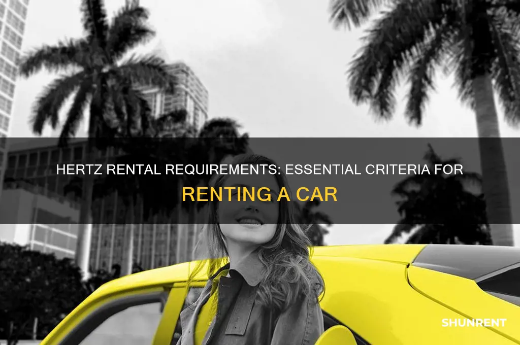 what are requirements to rent from hertz
