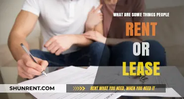 Exploring Popular Items People Rent or Lease for Convenience