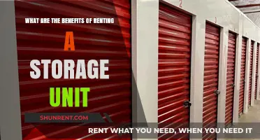 Unlock Space and Peace: Benefits of Renting a Storage Unit