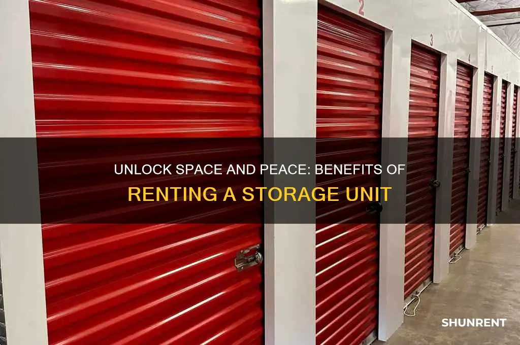 what are the benefits of renting a storage unit