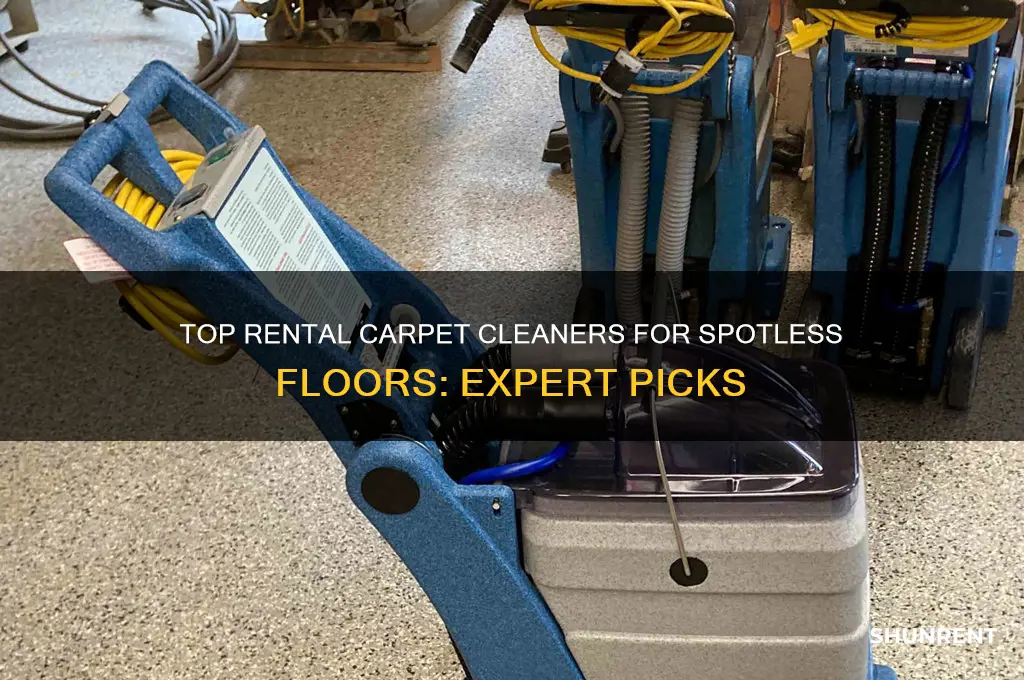 what are the best carpet cleaners to rent