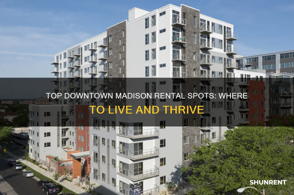 what are the best places to rent in downtown madison