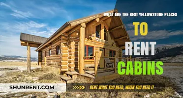 Top Yellowstone Cabin Rentals: Cozy Stays Near Park Wonders