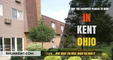 Affordable Rentals in Kent, Ohio: Top Budget-Friendly Neighborhoods