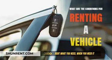 Essential Conditions for Renting a Vehicle: What You Need to Know
