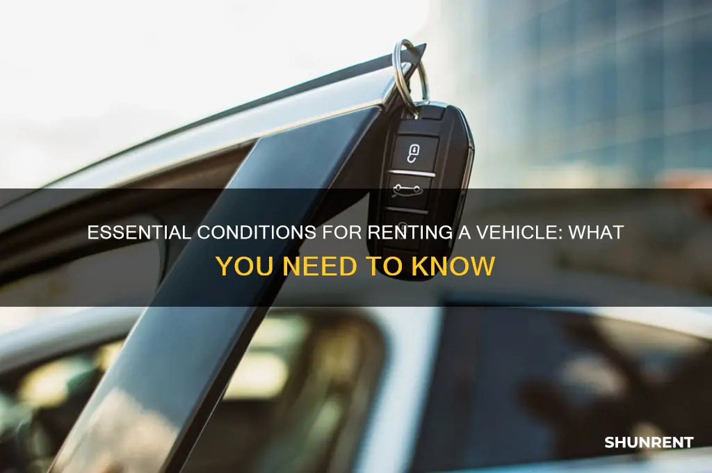 what are the conditions for renting a vehicle