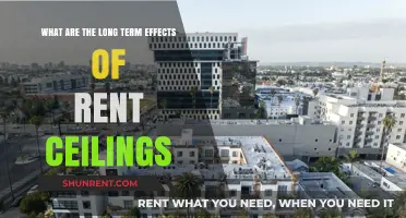 Rent Ceilings' Long-Term Impact: Housing Market Consequences and Economic Effects