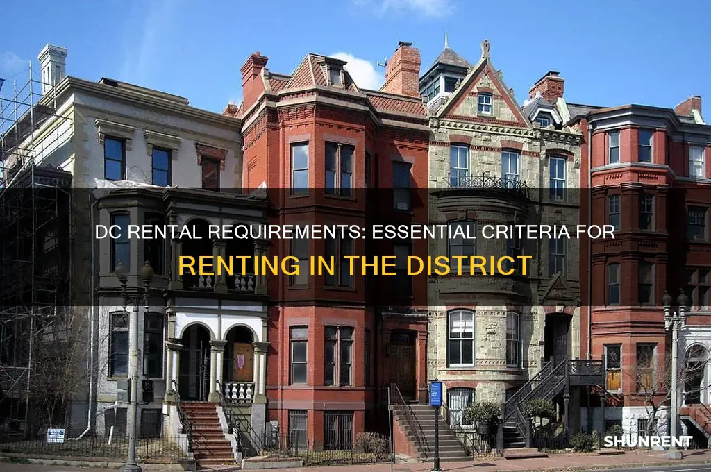 what are the minimum requirements to rent in dc
