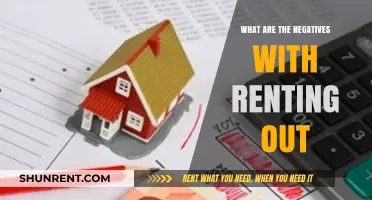 Renting Out Risks: Hidden Costs, Tenant Troubles, and Property Wear
