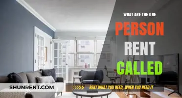 Understanding Solo Tenancy: What Are One-Person Rentals Called?