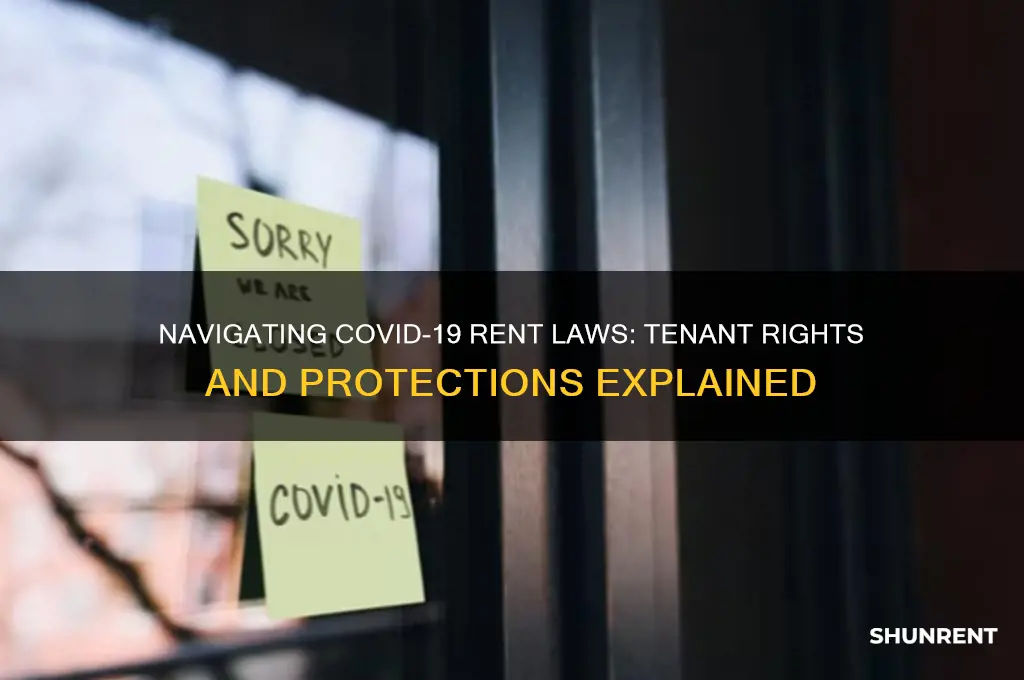 what are the rent laws during covid 19