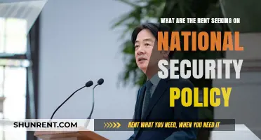 Rent-Seeking in National Security: Policy Exploitations and Their Impact