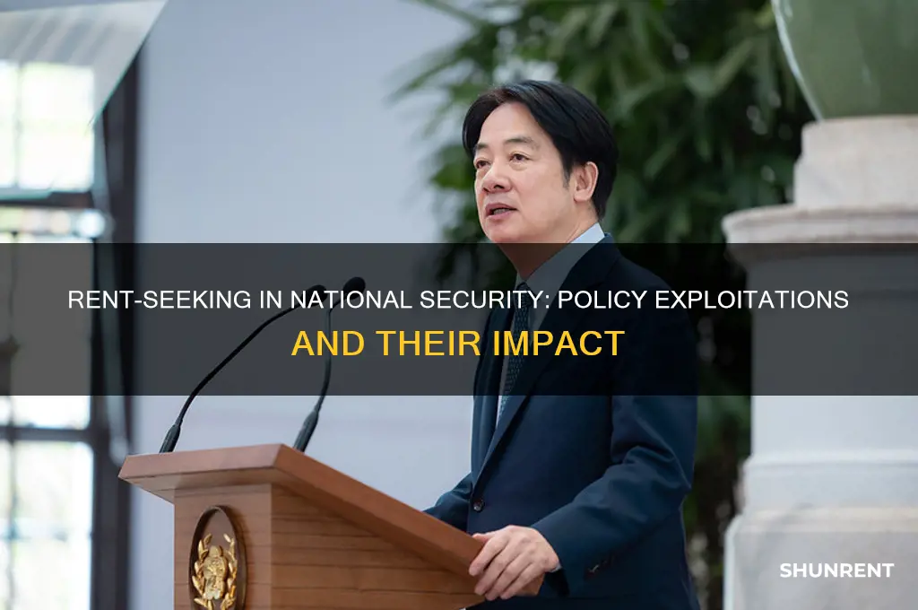 what are the rent seeking on national security policy