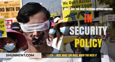 Exploiting Security Policy: Uncovering Rent-Seeking Opportunities and Risks