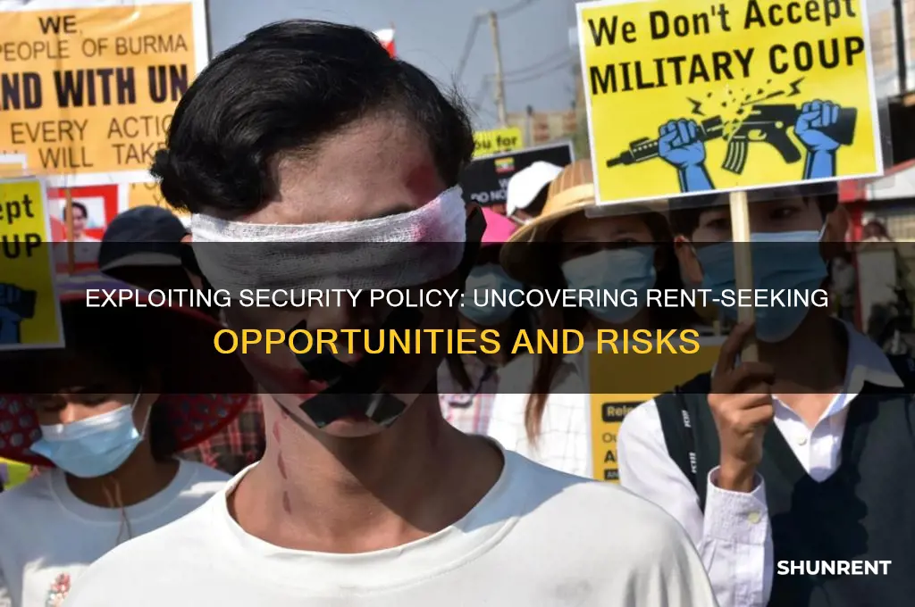 what are the rent seeking opportunities in security policy