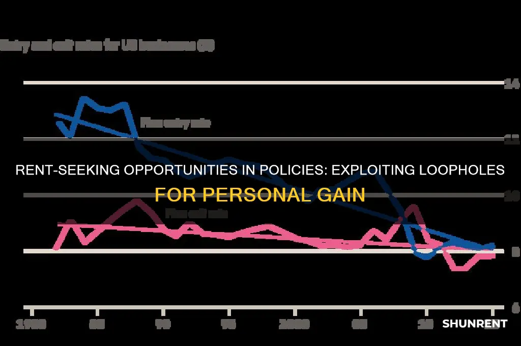 what are the rent seeking opportunties in polices