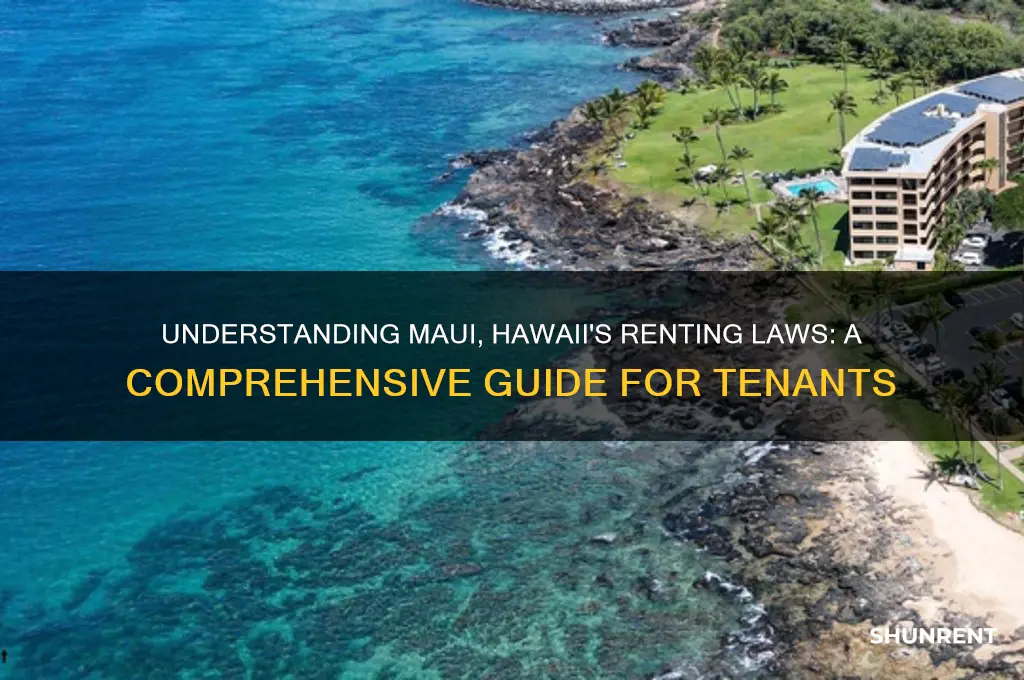 what are the renting laws in maui hawaii