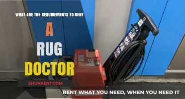 Renting a Rug Doctor: Essential Requirements for a Spotless Clean