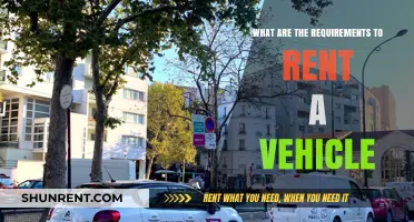 Essential Requirements for Renting a Vehicle: A Comprehensive Guide