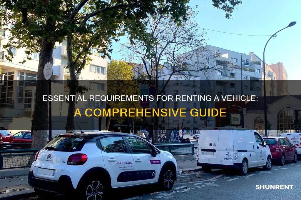 what are the requirements to rent a vehicle