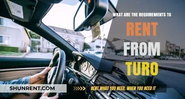 Turo Rental Requirements: Essential Criteria to Rent a Car