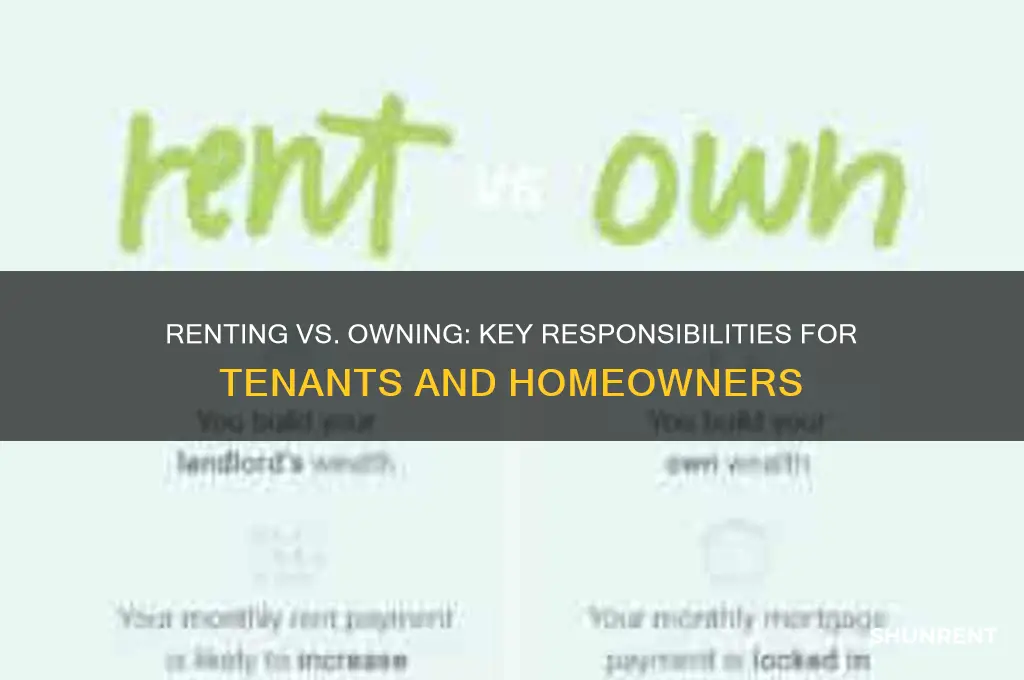 what are the responsibilities of a renter versus an owner