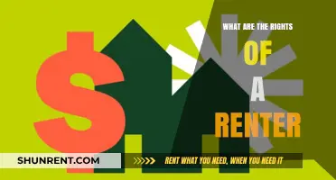 Understanding Renter Rights: Essential Protections Every Tenant Should Know