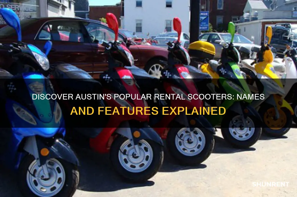 what are the scooters called that your rent in austin