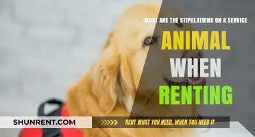 Service Animal Stipulations: What Renters Need to Know
