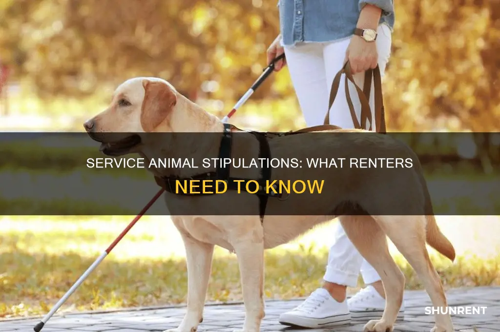what are the stipulations on a service animal when renting