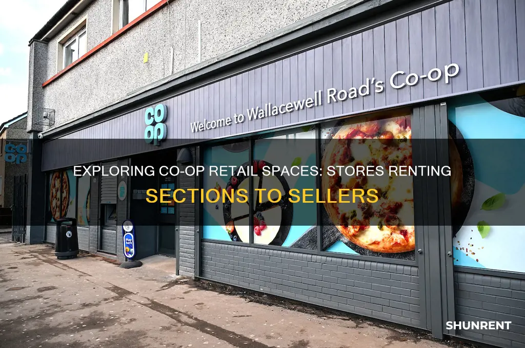 what are the stores called that rent sections to sellers