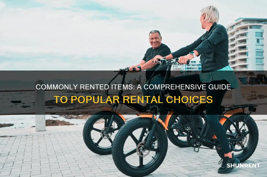 what are the things that are usually rented