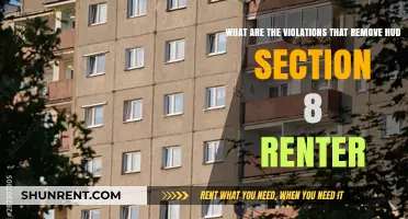 Understanding HUD Section 8 Lease Violations Leading to Eviction