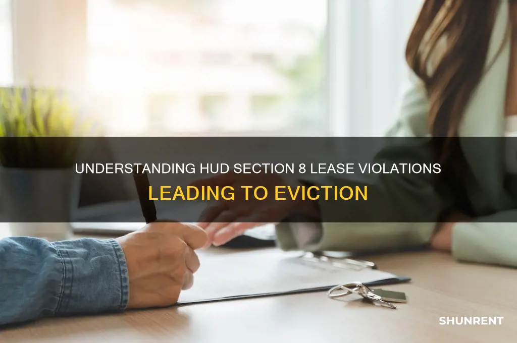 what are the violations that remove hud section 8 renter