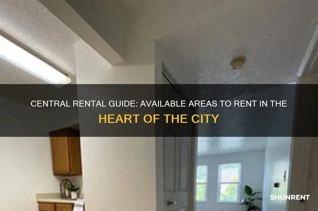 what areas of central are available to rent