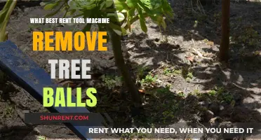 Top Rentable Tools for Efficiently Removing Tree Balls: A Guide