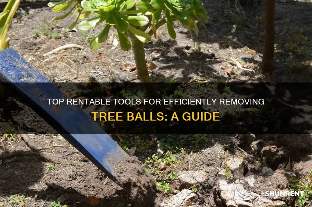 what best rent tool machine remove tree balls