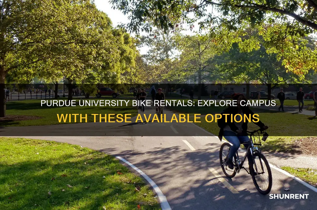 what bikes are for rent at purdue university