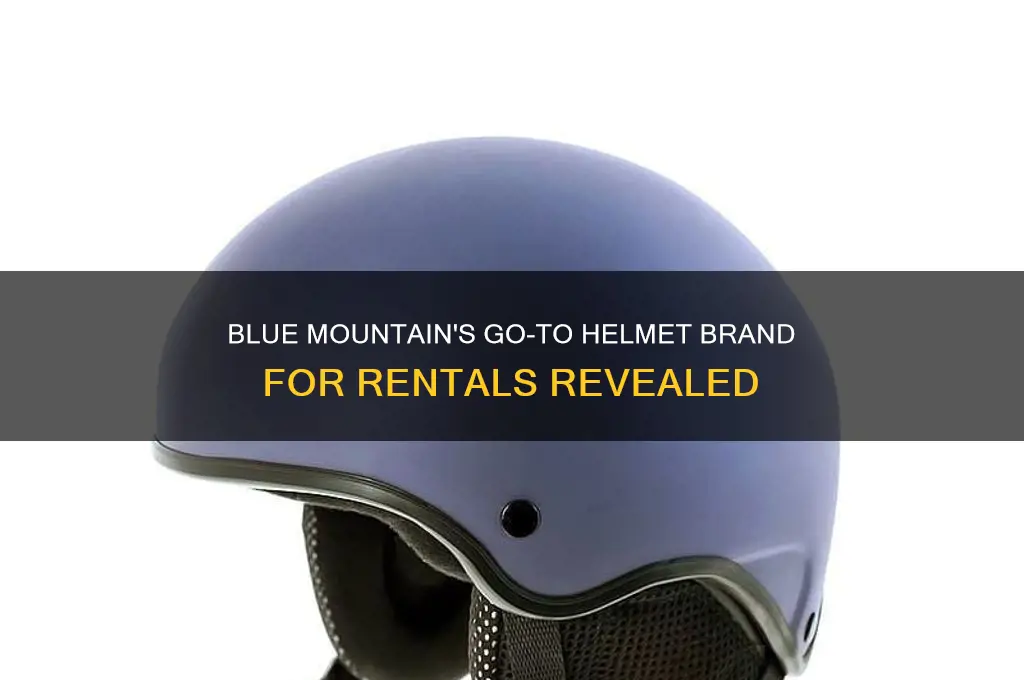 what brand helmet does blue mouuntai usually rent