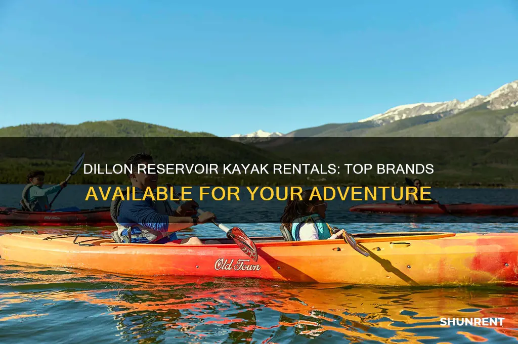 what brand of kayaks does dillon reservoir rent
