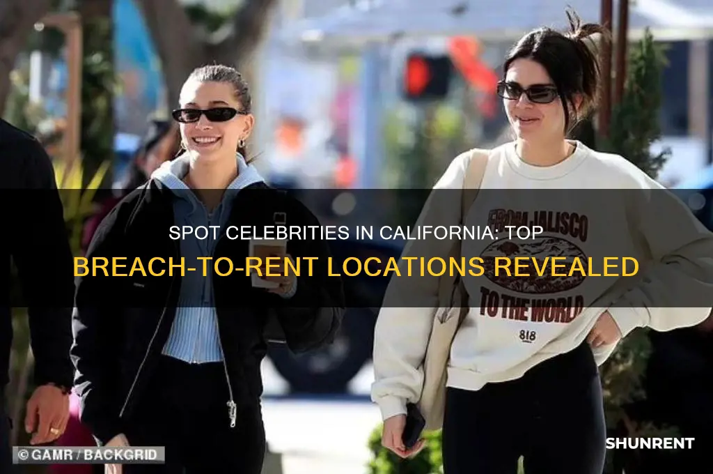 what breach to rent in ca to spot celebrity