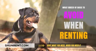 Renting with Dogs: Breeds Landlords Often Avoid and Why
