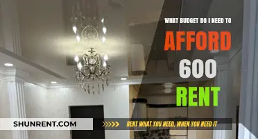 Affording $600 Rent: Essential Budget Planning Tips for Success