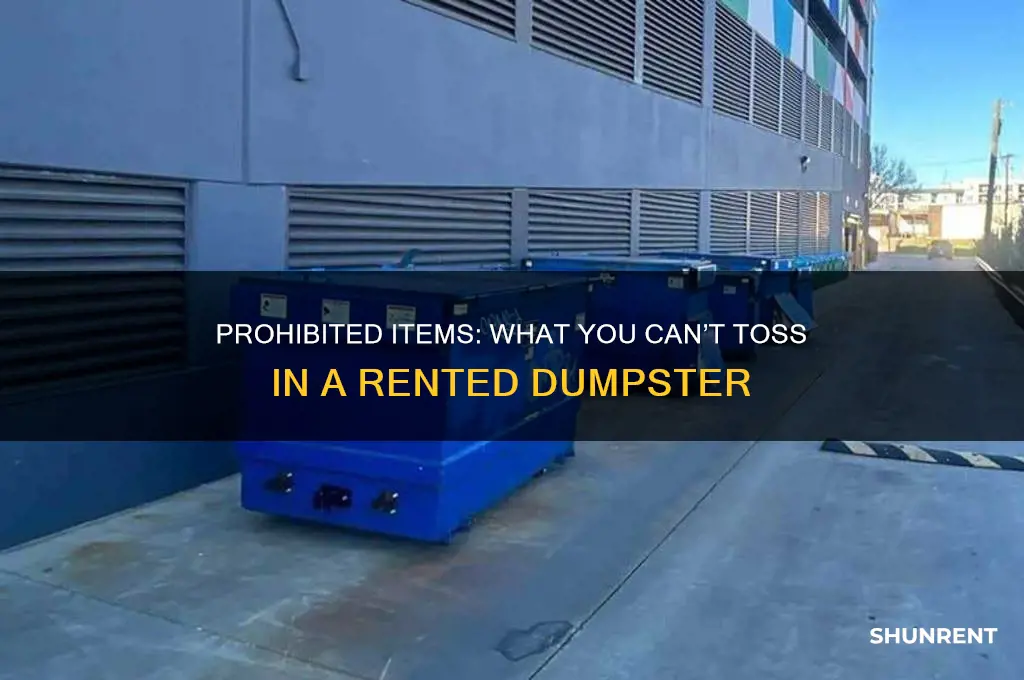 what cannot go in a rented dumpster
