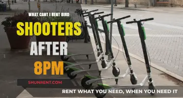 Why Bird Shooter Rentals Are Unavailable After 8 PM: Explained