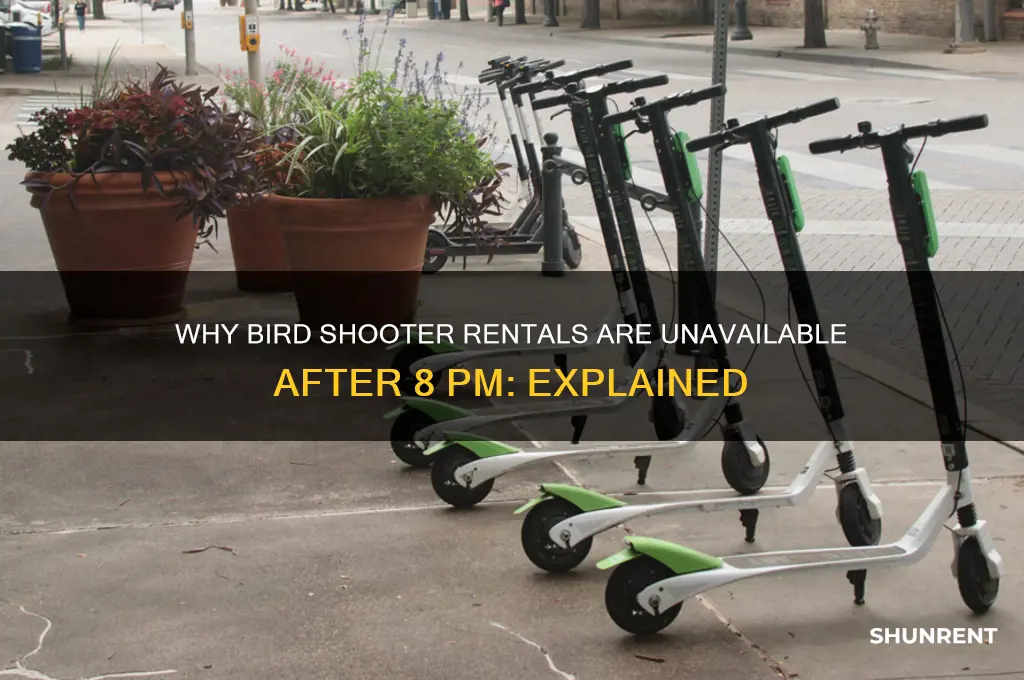 what cant i rent bird shooters after 8pm
