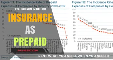 Understanding Rent and Insurance: Prepaid Expenses in Accounting Categories
